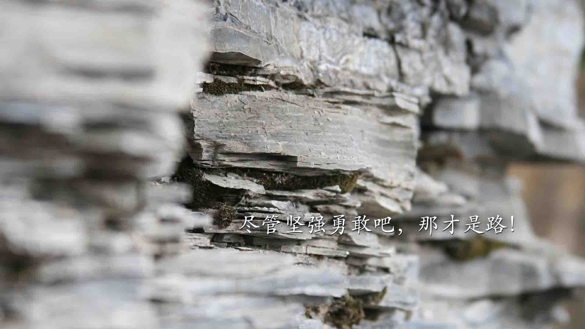 火箭板凳深度展现优势，火箭的架子长什么样子