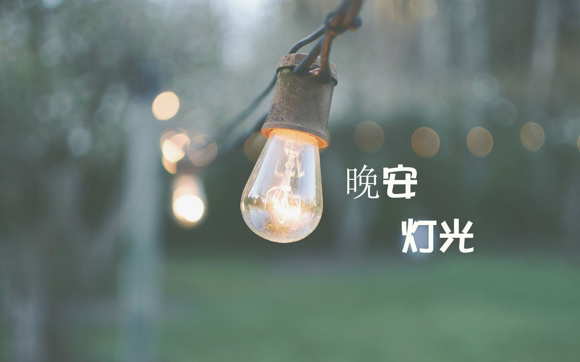 葡萄牙体育引进多名年轻新援，葡萄牙体育队阵容