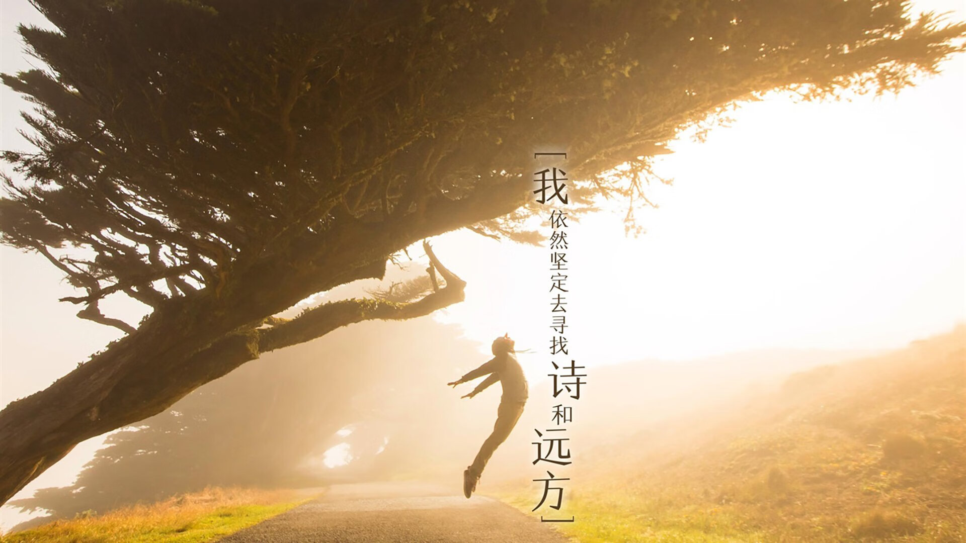 阿尔及利亚队三连胜，阿曼队难以回天，阿尔及利亚队阵容