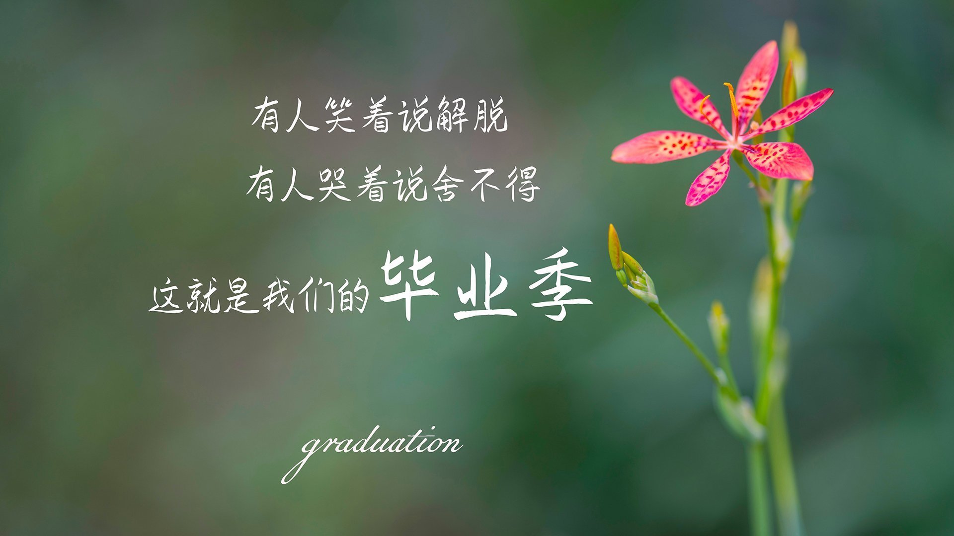 中国篮球青少年运动员选拔机制研究，中国篮球青少年运动员选拔机制研究论文