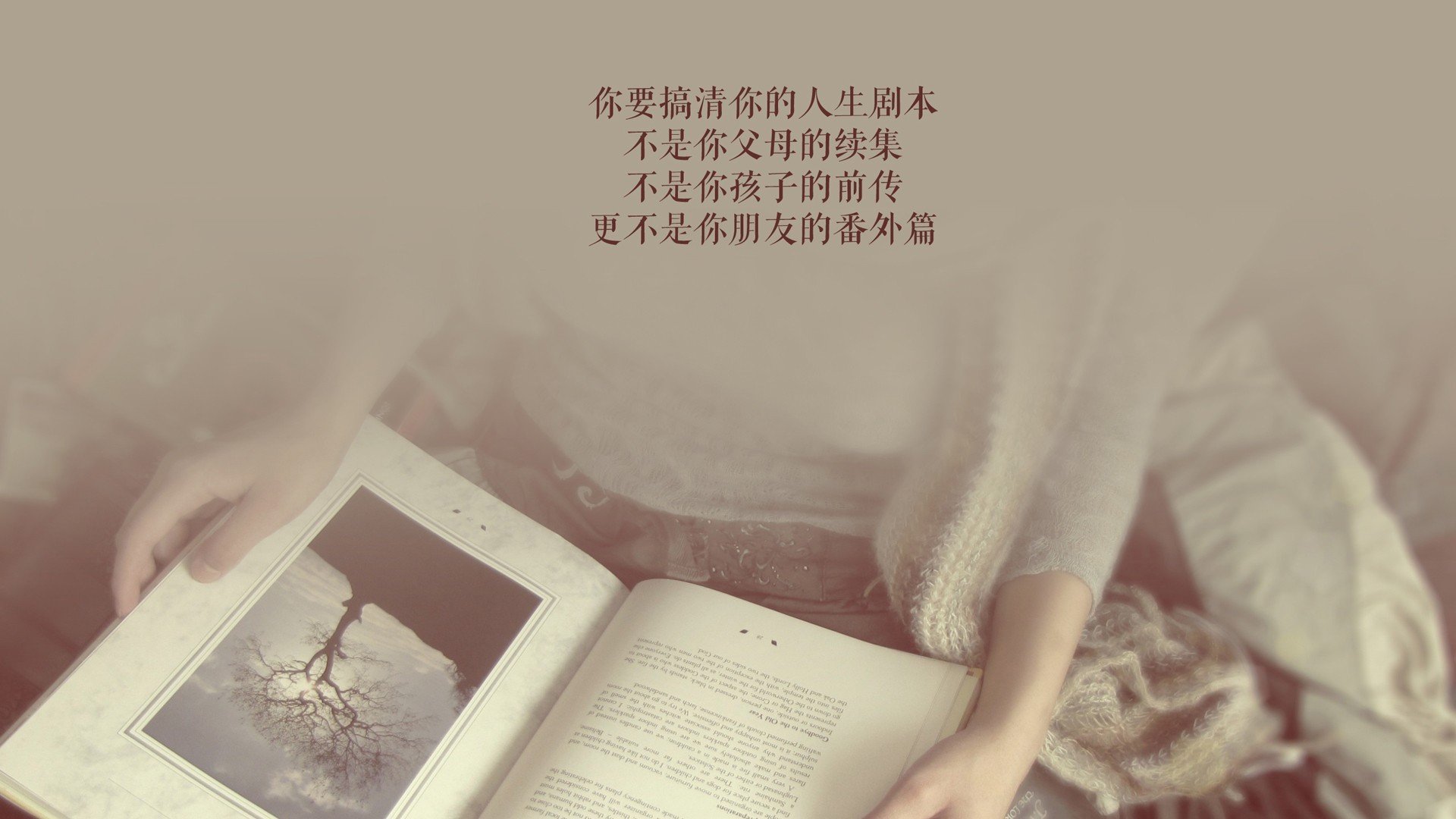 法甲防守阵型转换与对手控球比变化的动态关系研究，法甲对标