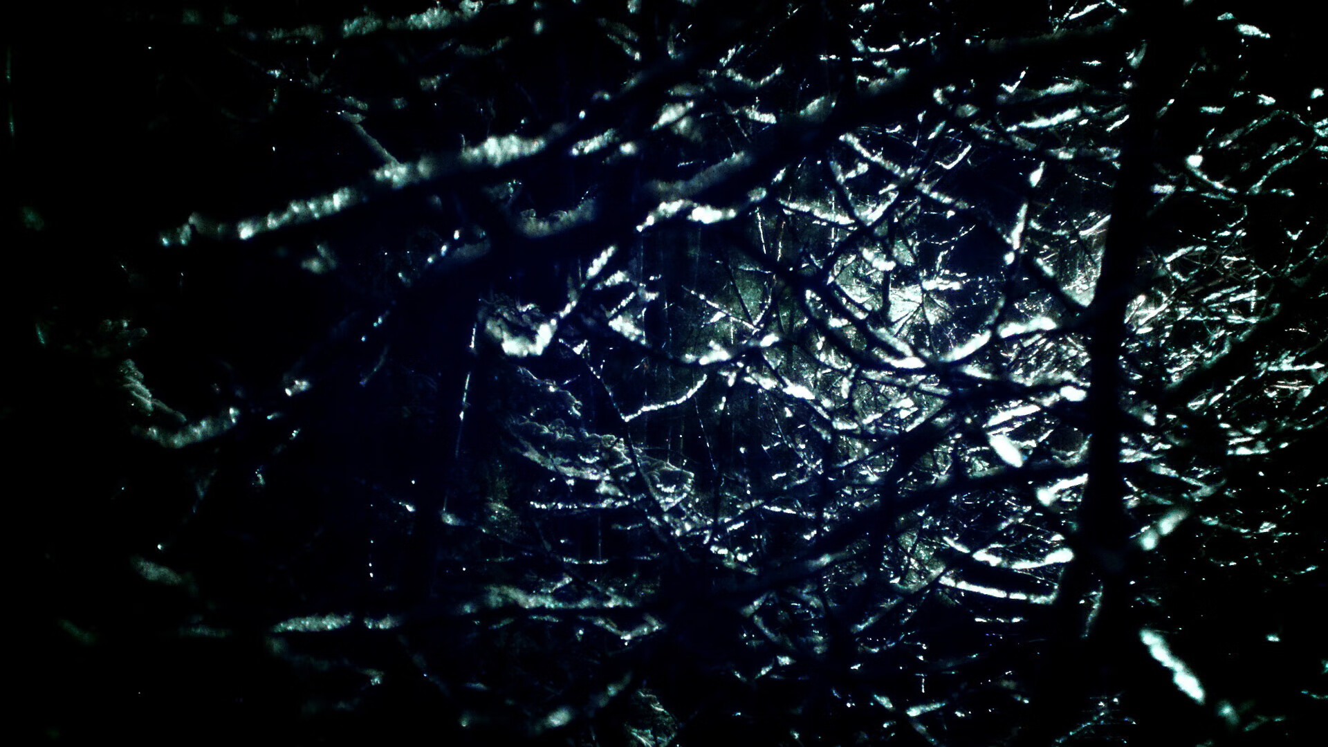 女子篮球冠军之路纪录片首映，激发社会讨论，女子篮球世界冠军