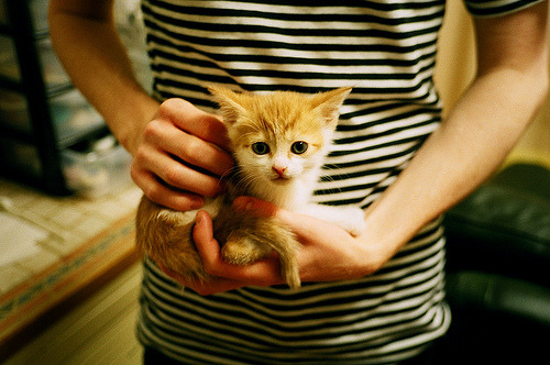 朱婷参加公益活动传递女排精神，朱婷女排精神 新闻