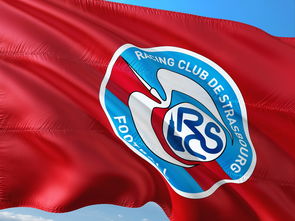 爱游戏在线登录入口-荷兰队在欧洲预赛中继续保持领先优势