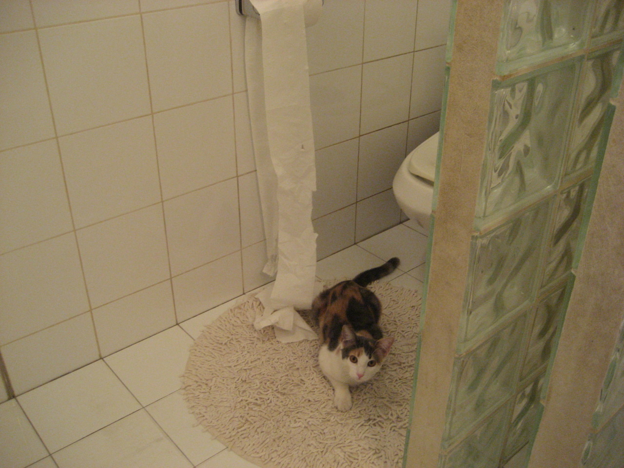 西甲惊天逆转：逆境中践行冠军信仰，西甲 冠军