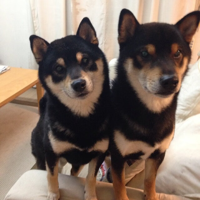 西甲狂欢夜：精彩传球与破门瞬间叠加，西甲传统强队