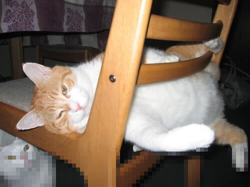 詹姆斯助攻再创里程碑联盟第一实至名归，詹姆斯 助攻