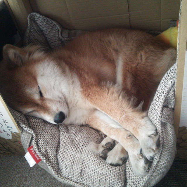 陈艺文：突破自我是最大胜利，陈艺文夺冠