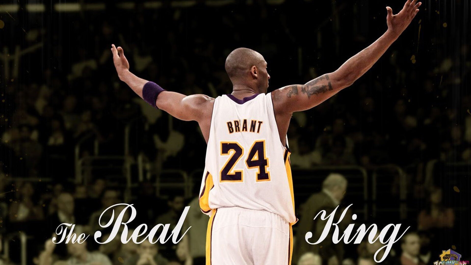 冠军之谜：预测今年的总冠军归属，冠军即将诞生